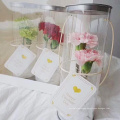 Custom clear pla recycled plastic tube packaging for flower gift